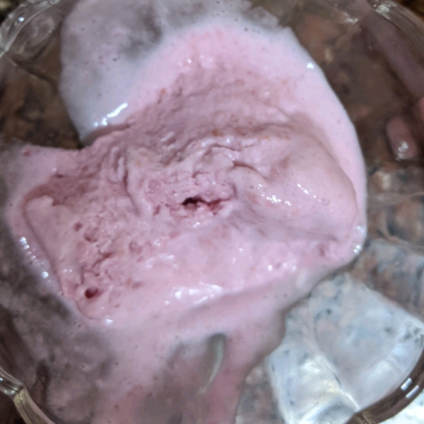 Five Minute Ice Cream