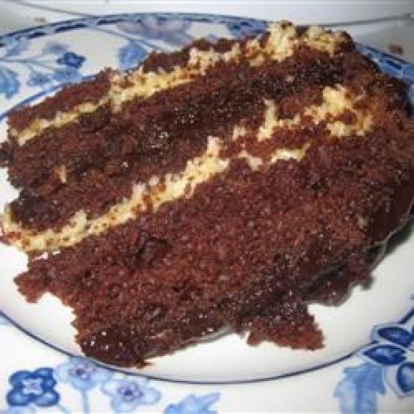 Coconut Chocolate Cake I