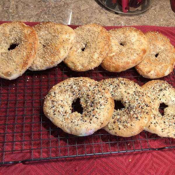 San Francisco Style Bagels