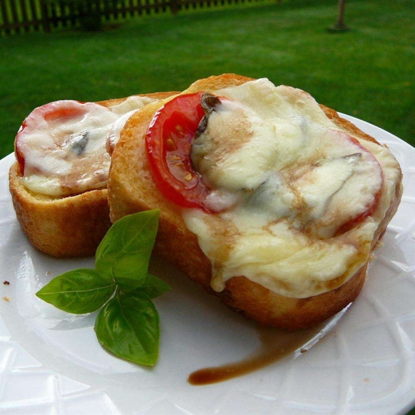 Open Face Mozzarella Sandwich