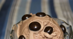 Chocolate-Hazelnut Soy Ice Cream