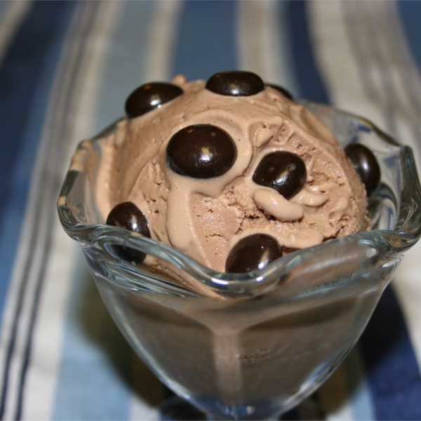 Chocolate-Hazelnut Soy Ice Cream