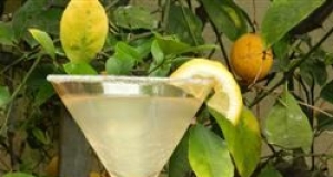 Lemon Drop Cocktail