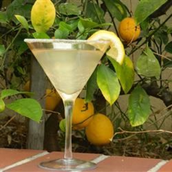 Lemon Drop Cocktail