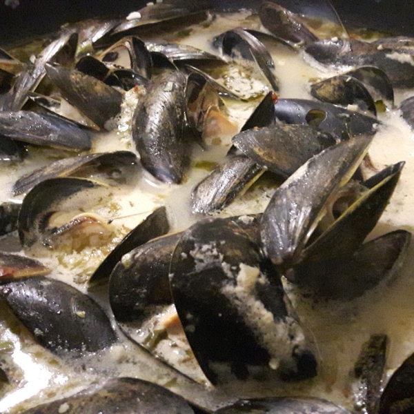 Mussels in White Wine Sauce