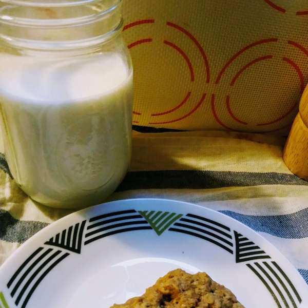 Chocolate Chip-oat-le Cookies