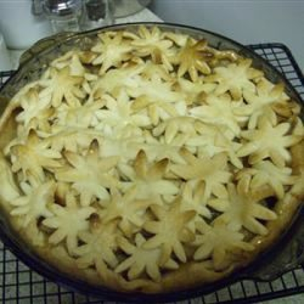 Aunt Bev's Famous Apple Pie