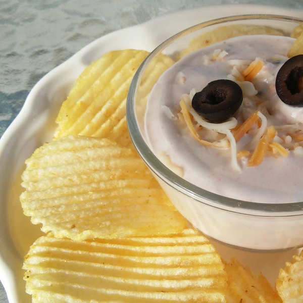 Cheesy Sour Cream and Salsa Dip