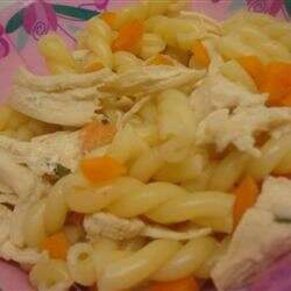 Chicken Rotini Soup