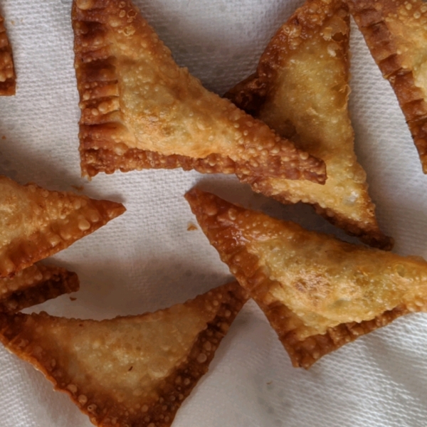 Thanksgiving Leftover Wontons with Cranberry Salsa