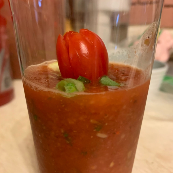 Gazpacho