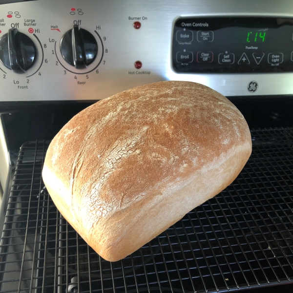 Honey Wheat Bread III