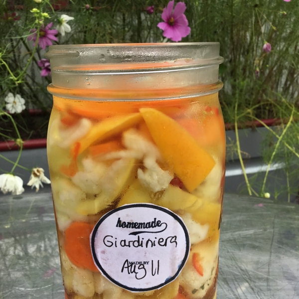 Refrigerator Giardiniera