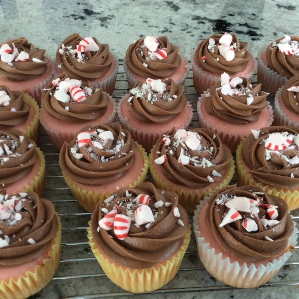 Pink Peppermint Cupcake