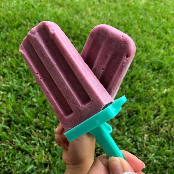 Fresh Fruit and Yogurt Ice Pops