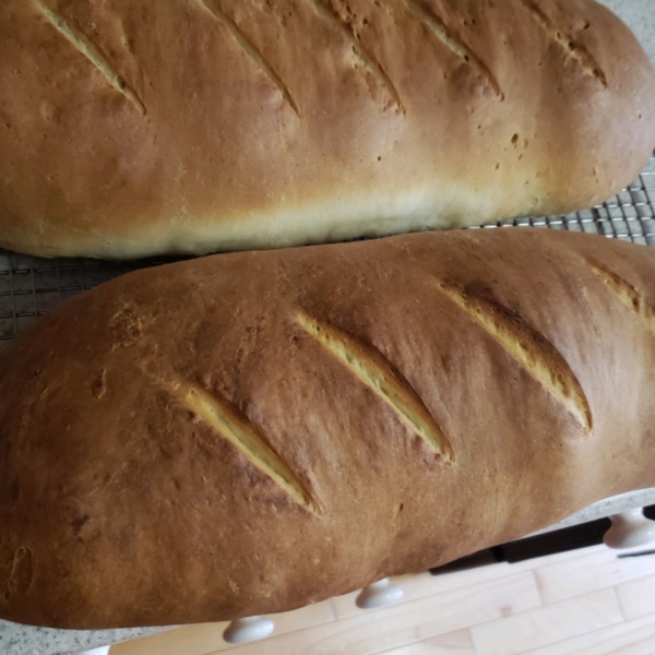 Tasty Buns