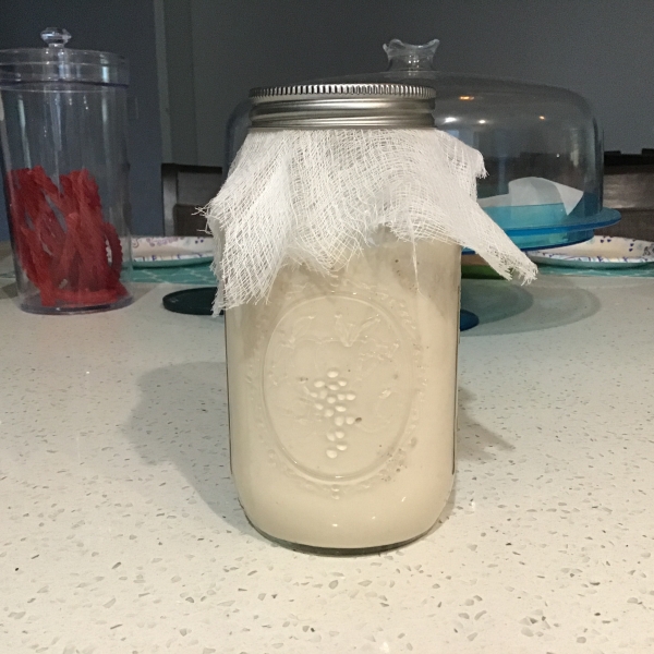 Sourdough Starter II