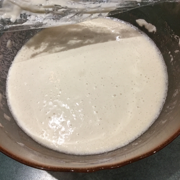 Sourdough Starter II