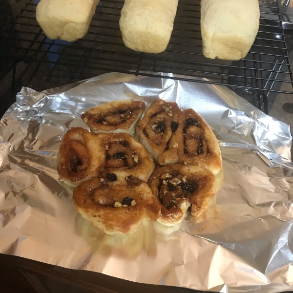 Sourdough Starter II