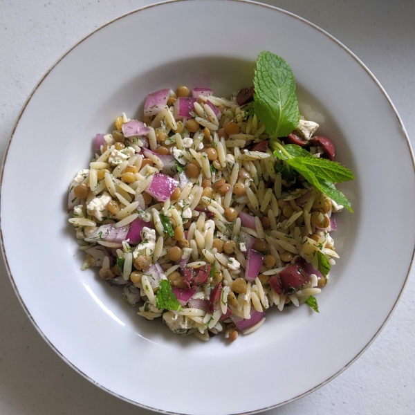 Minty Orzo Lentil and Feta Salad