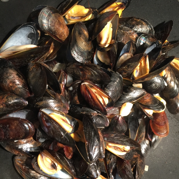 Steamed Mussels II