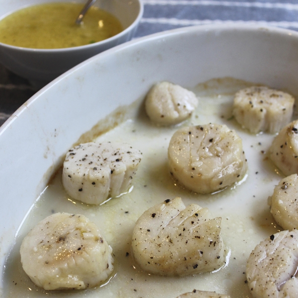 Scallops with White Wine Sauce II