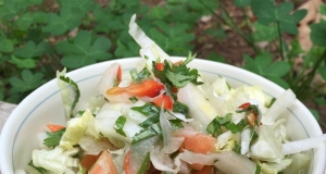 Latin Slaw