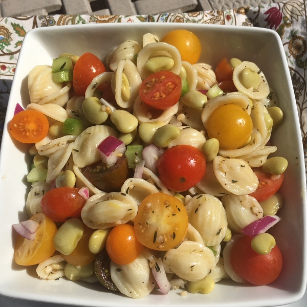 Tuscan Fava Bean and Orecchiette Pasta Salad