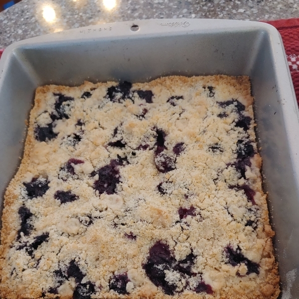 Blueberry Shortbread Bars