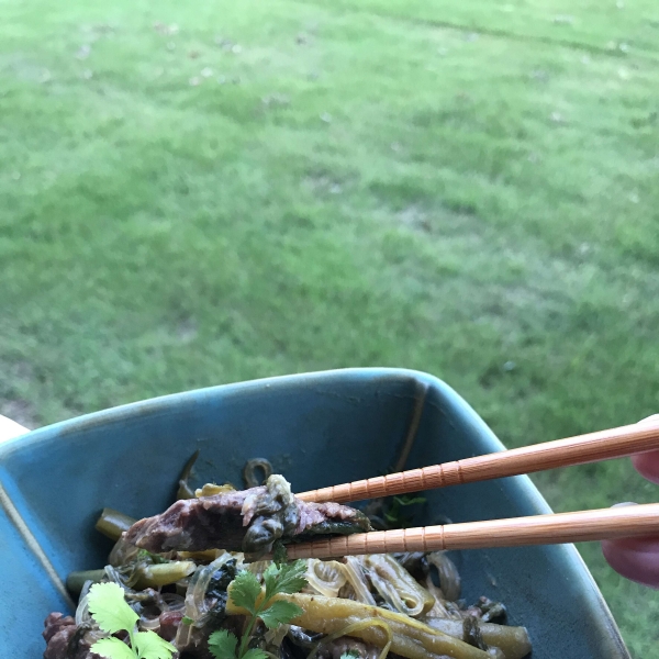 Slow Cooker Thai Beef Curry