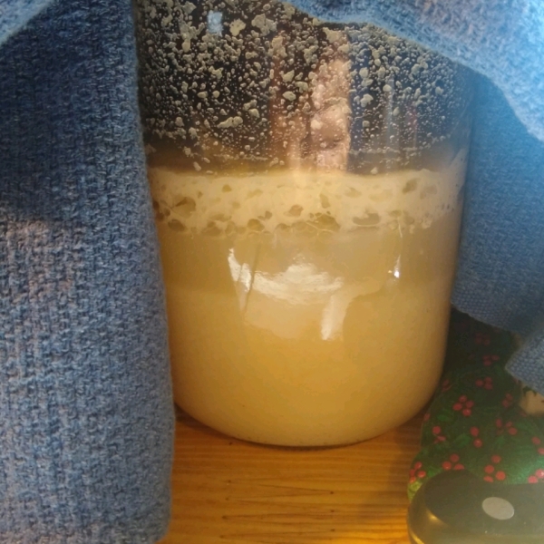 Sourdough Starter I