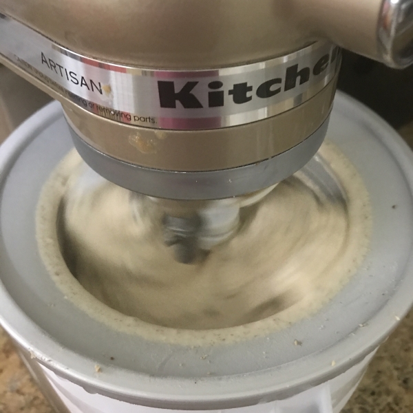 Homemade Peanut Butter Ice Cream