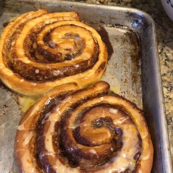 Danish Cinnamon Snails