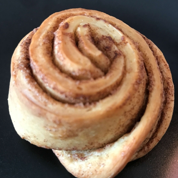 Danish Cinnamon Snails