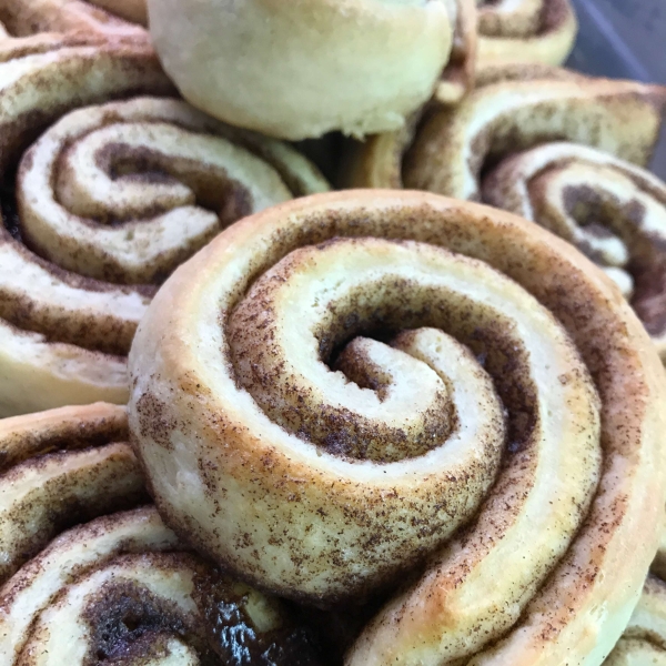 Danish Cinnamon Snails