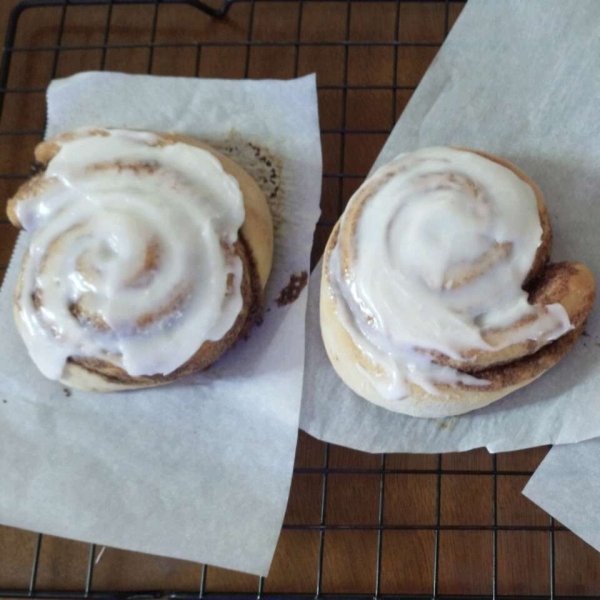 Danish Cinnamon Snails