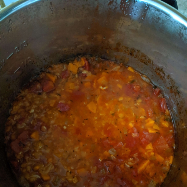 Instant Pot Vegan Lentil Soup
