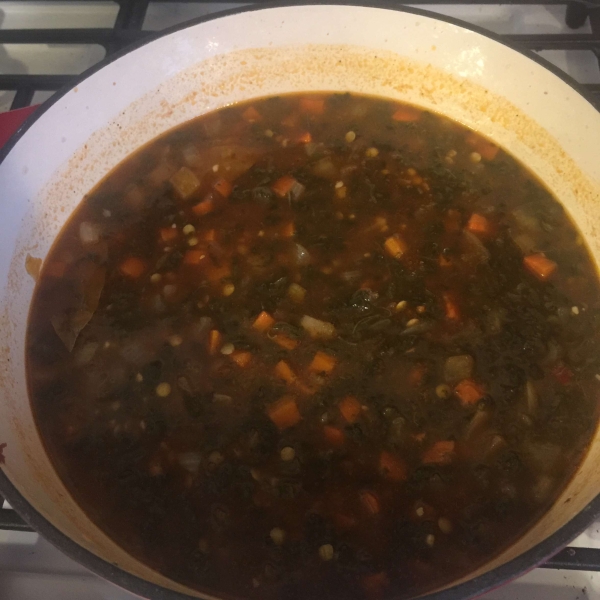 Lentil Soup III