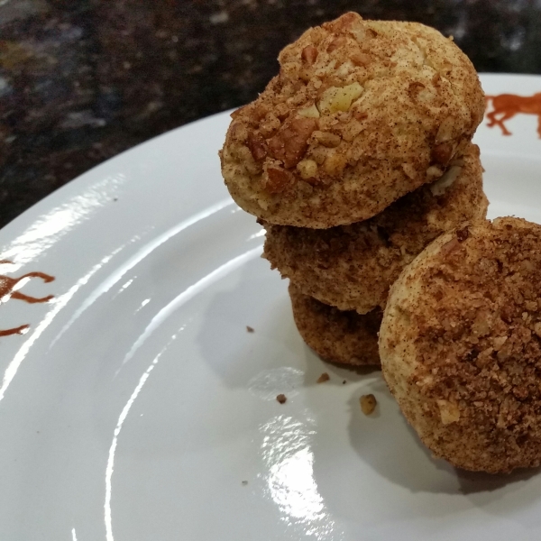 Sugar Free Cinnamon Nut Balls