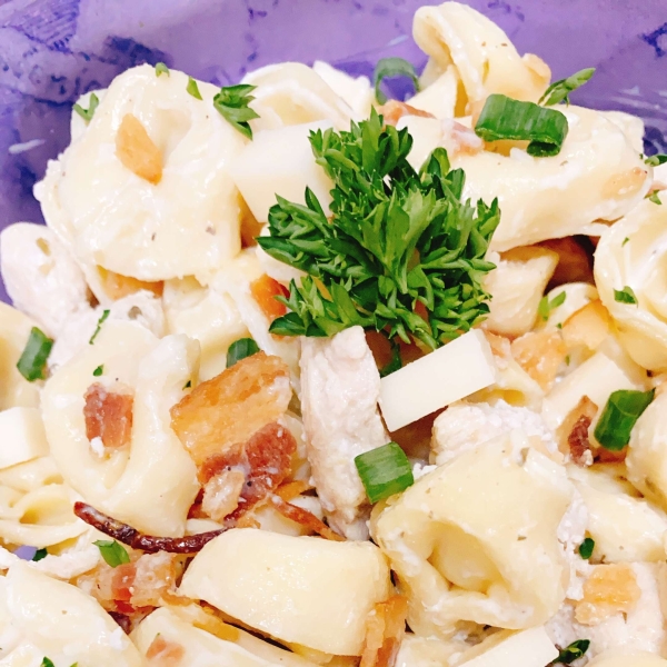 Creamy Tortellini Salad with Chicken, Bacon, and Ranch Dressing