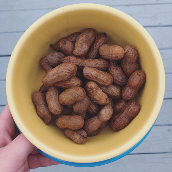 Rachael's Superheated Cajun Boiled Peanuts