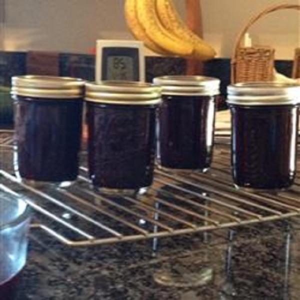 Blueberry Ketchup