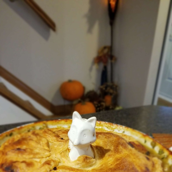 Chicken Pan Pie