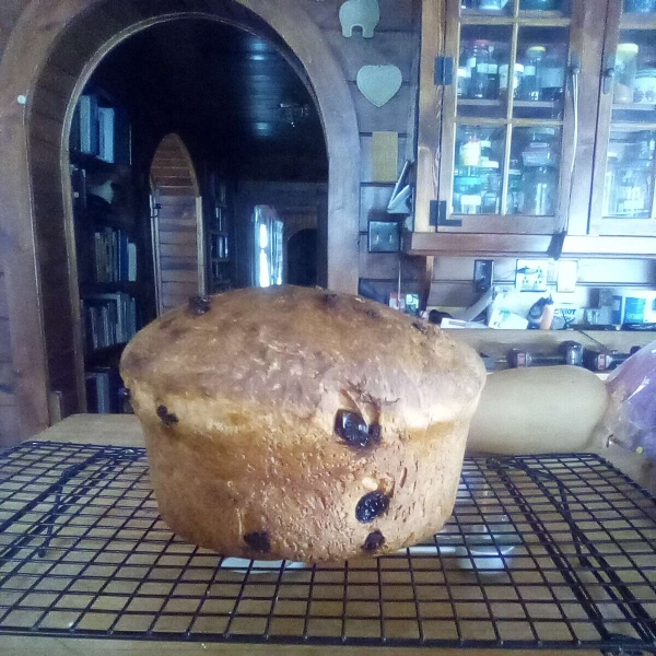 Panettone Bread